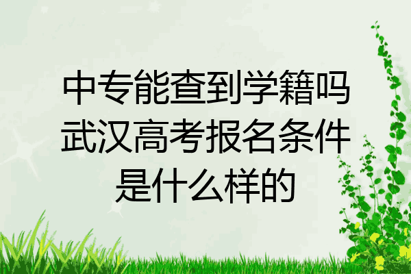 中专能查到学籍吗武汉高考报名条件是什么样的