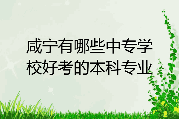 咸宁有哪些中专学校好考的本科专业