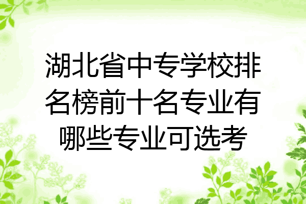 湖北省中专学校排名榜前十名专业有哪些专业可选考