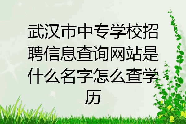 武汉市中专学校招聘信息查询网站是什么名字怎么查学历