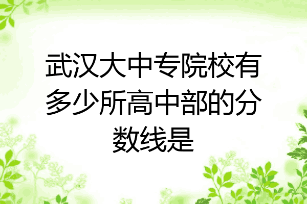武汉大中专院校有多少所高中部的分数线是