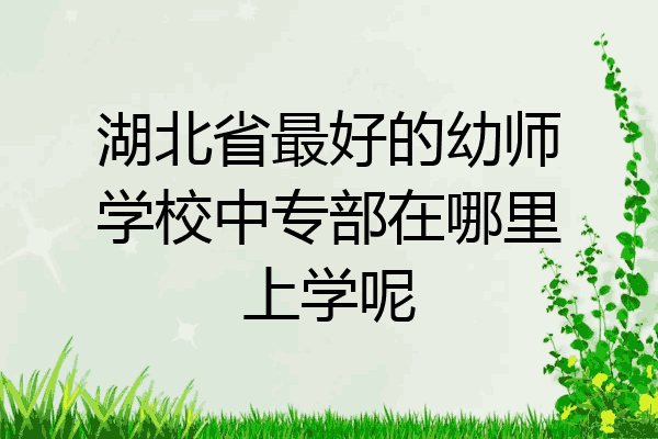 湖北省最好的幼师学校中专部在哪里上学呢
