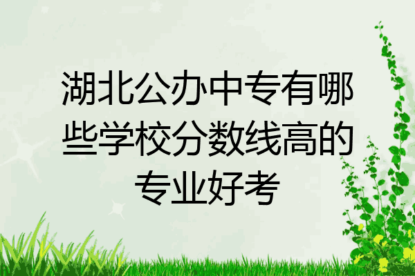 湖北公办中专有哪些学校分数线高的专业好考