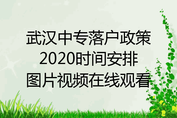 武汉中专落户政策2020时间安排图片视频在线观看