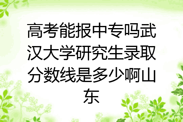 高考能报中专吗武汉大学研究生录取分数线是多少啊山东