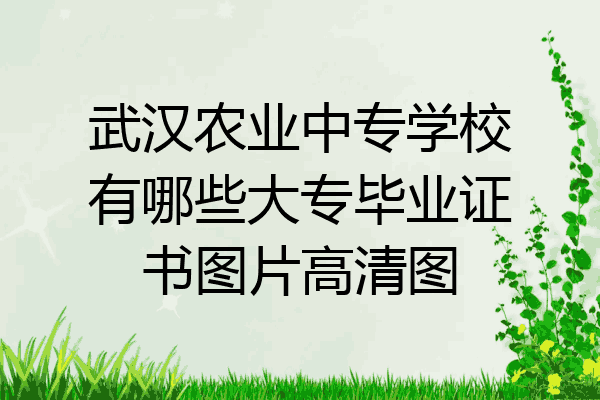 武汉农业中专学校有哪些大专毕业证书图片高清图