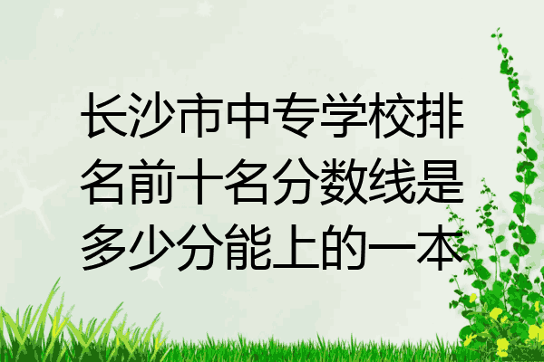 长沙市中专学校排名前十名分数线是多少分能上的一本