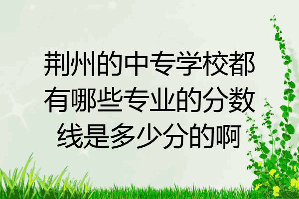 荆州的中专学校都有哪些专业的分数线是多少分的啊