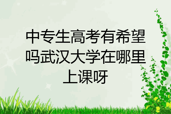 中专生高考有希望吗武汉大学在哪里上课呀