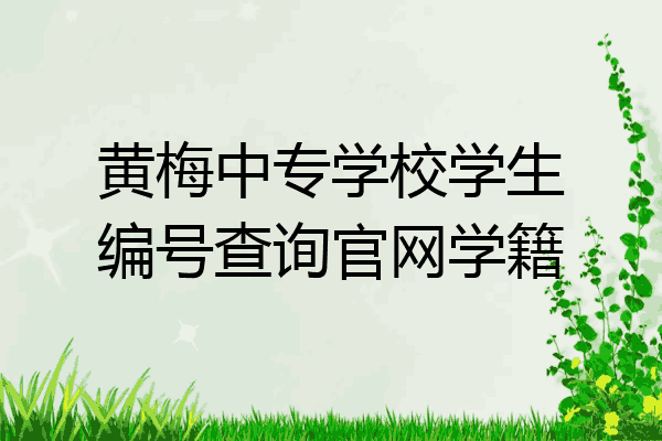 黄梅中专学校学生编号查询官网学籍