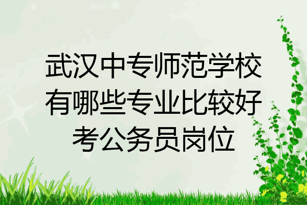 武汉中专师范学校有哪些专业比较好考公务员岗位