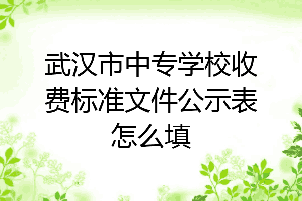 武汉市中专学校收费标准文件公示表怎么填