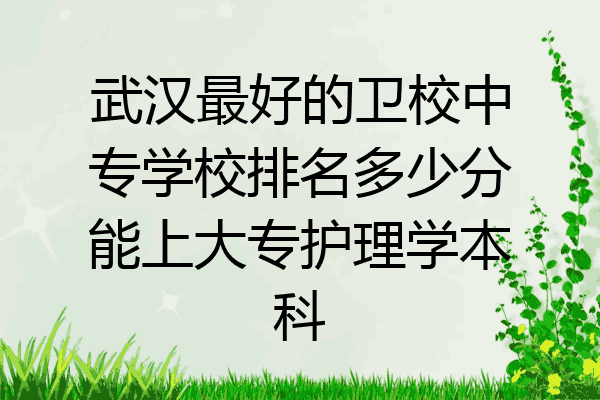 武汉最好的卫校中专学校排名多少分能上大专护理学本科