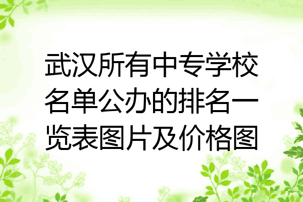 武汉所有中专学校名单公办的排名一览表图片及价格图