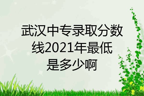 武汉中专录取分数线2021年最低是多少啊