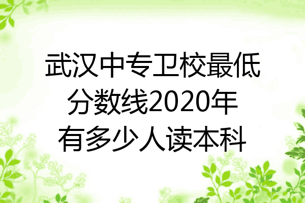 武汉中专卫校最低分数线2020年有多少人读本科