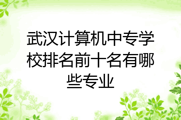 武汉计算机中专学校排名前十名有哪些专业
