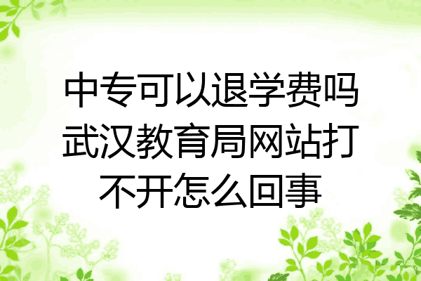 中专可以退学费吗武汉教育局网站打不开怎么回事