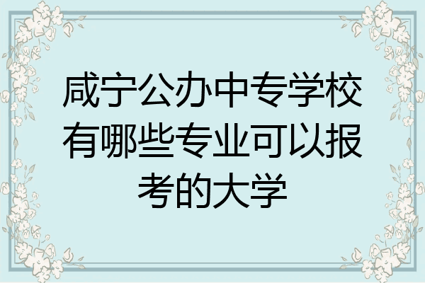 咸宁公办中专学校有哪些专业可以报考的大学