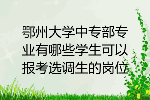 鄂州大学中专部专业有哪些学生可以报考选调生的岗位