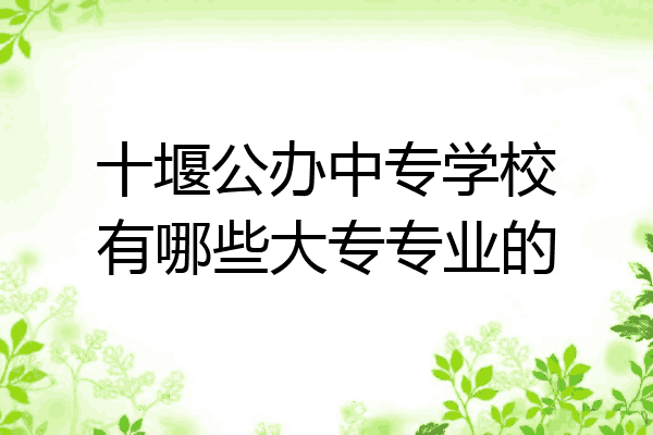 十堰公办中专学校有哪些大专专业的