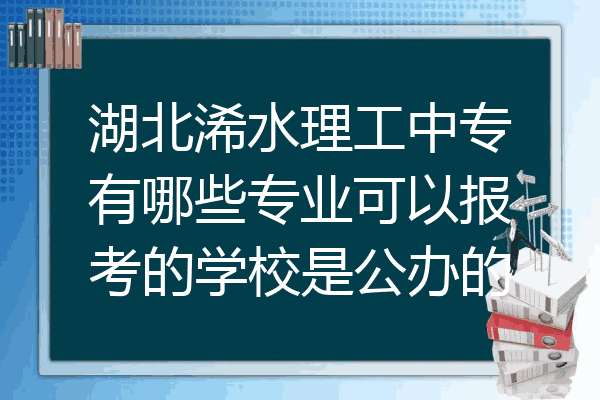 湖北浠水理工中专有哪些专业可以报考的学校是公办的