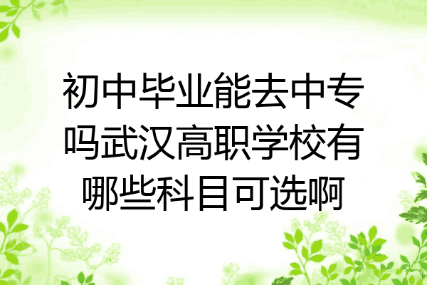 初中毕业能去中专吗武汉高职学校有哪些科目可选啊