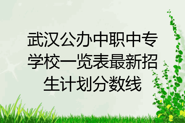 武汉公办中职中专学校一览表最新招生计划分数线