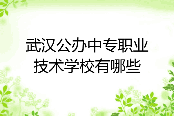 武汉公办中专职业技术学校有哪些