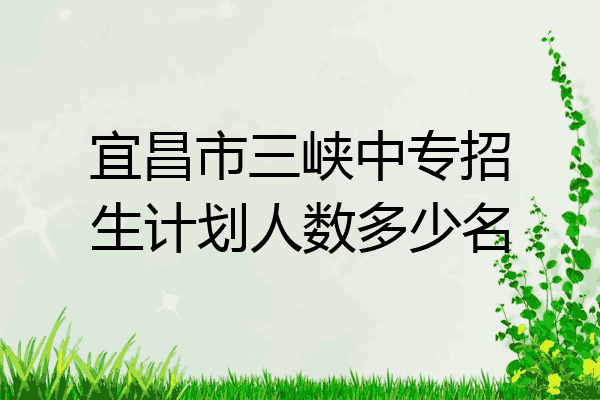 宜昌市三峡中专招生计划人数多少名