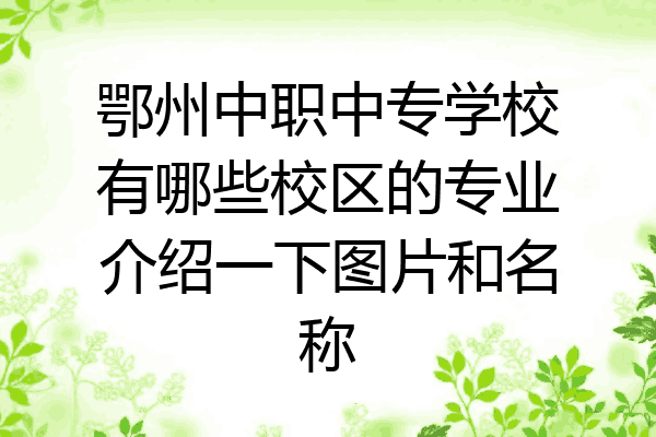 鄂州中职中专学校有哪些校区的专业介绍一下图片和名称