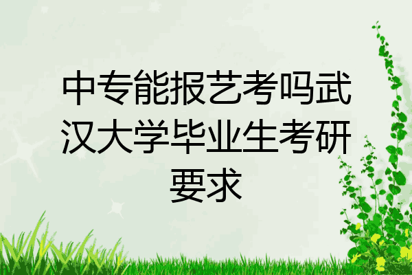 中专能报艺考吗武汉大学毕业生考研要求