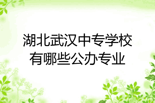 湖北武汉中专学校有哪些公办专业