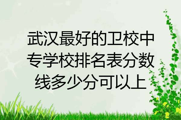 武汉最好的卫校中专学校排名表分数线多少分可以上