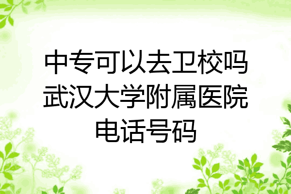 中专可以去卫校吗武汉大学附属医院电话号码