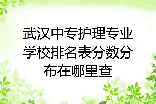 武汉中专护理专业学校排名表分数分布在哪里查