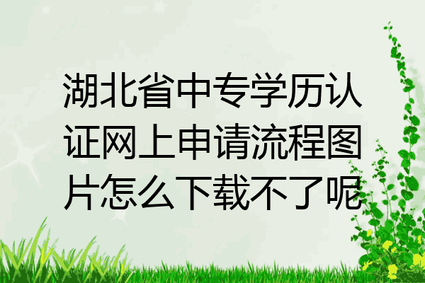 湖北省中专学历认证网上申请流程图片怎么下载不了呢