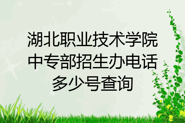 湖北职业技术学院中专部招生办电话多少号查询