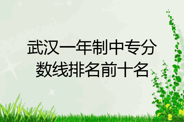 武汉一年制中专分数线排名前十名