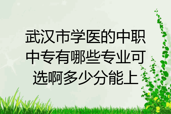 武汉市学医的中职中专有哪些专业可选啊多少分能上