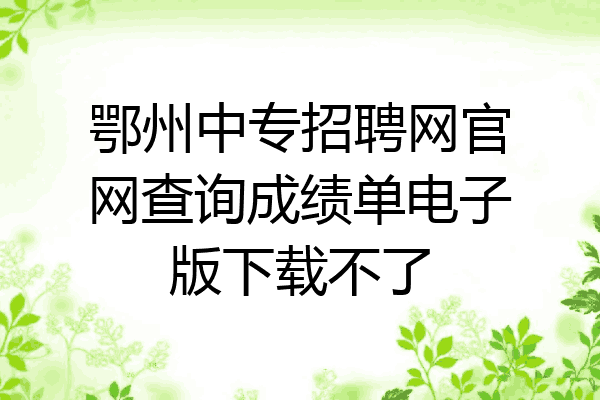 鄂州中专招聘网官网查询成绩单电子版下载不了