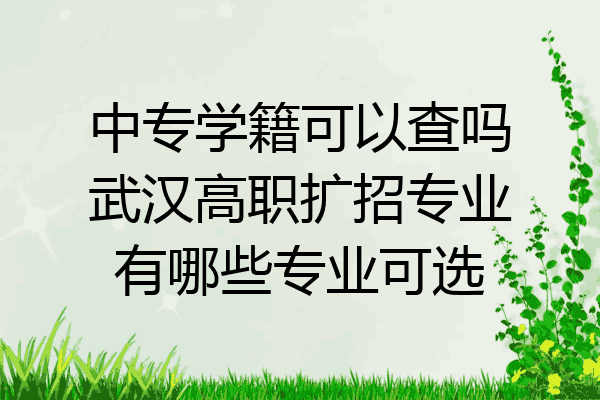 中专学籍可以查吗武汉高职扩招专业有哪些专业可选