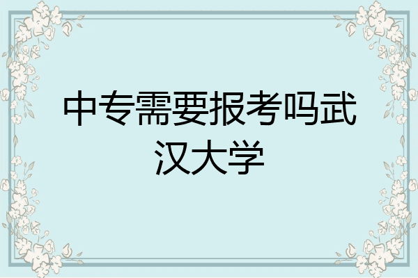 中专需要报考吗武汉大学