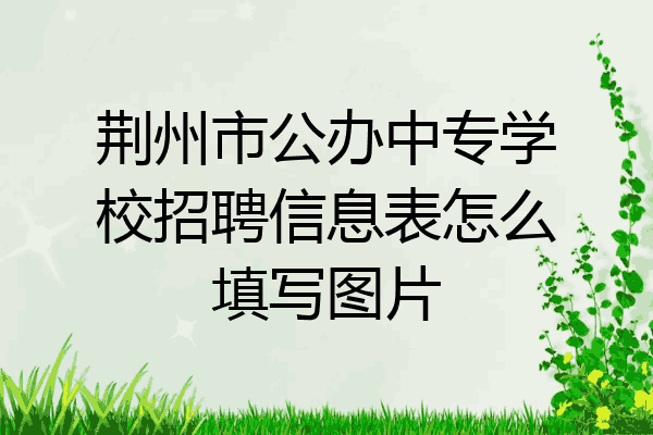 荆州市公办中专学校招聘信息表怎么填写图片