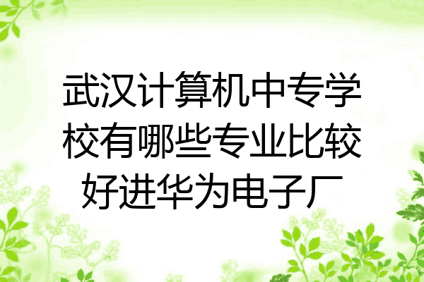 武汉计算机中专学校有哪些专业比较好进华为电子厂