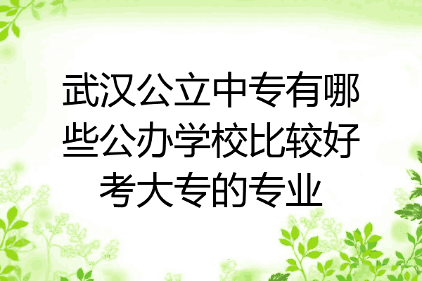 武汉公立中专有哪些公办学校比较好考大专的专业