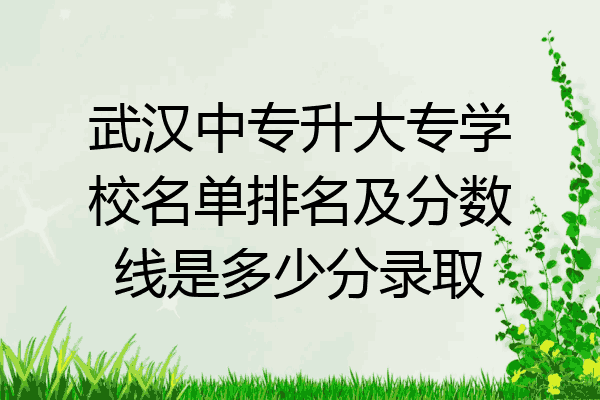 武汉中专升大专学校名单排名及分数线是多少分录取