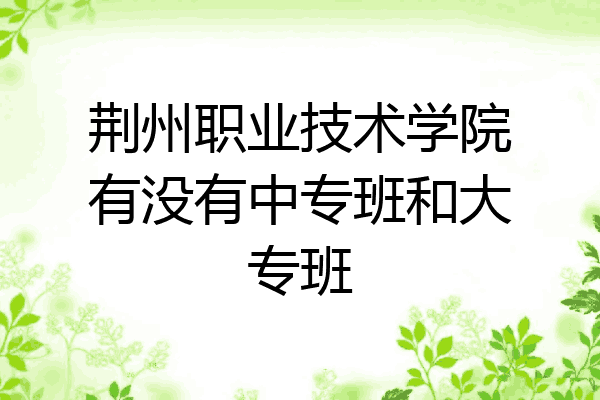 荆州职业技术学院有没有中专班和大专班