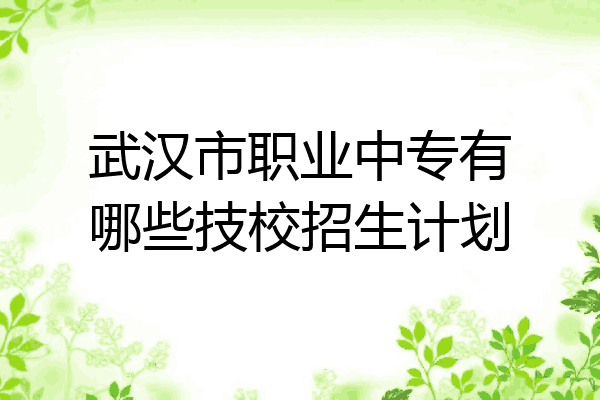 武汉市职业中专有哪些技校招生计划