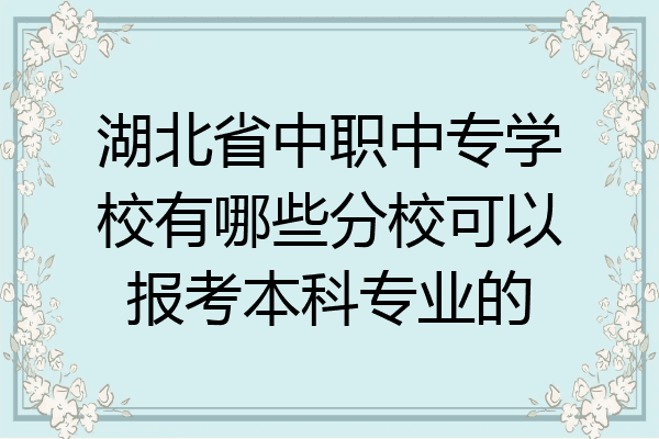 湖北省中职中专学校有哪些分校可以报考本科专业的